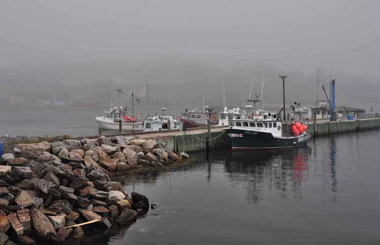 wharf